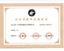 山東省瞪羚企業(yè)